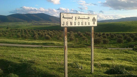 jandouba